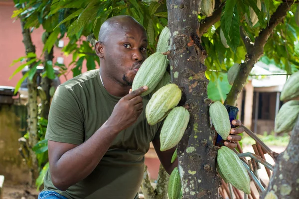 Ein Glücklicher Afrikanischer Bauer Händler Unternehmer Oder Geschäftsmann Aus Nigeria — Stockfoto