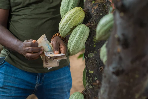 Nahaufnahme Eines Afrikanischen Männlichen Bauern Händlers Unternehmers Oder Geschäftsmannes Aus — Stockfoto