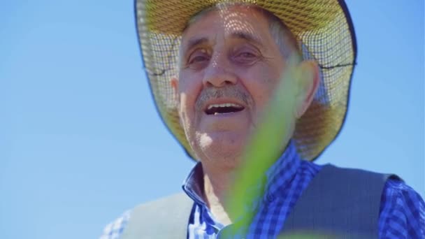 Portrét Staršího Muže Klobouku Modré Košili Pozadí Slunečného Dne — Stock video