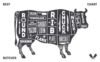 İnek, sığır. Şema, şema, çizelge bifteği, kasap rehberi. Antika baskı, sanat tipografisi, etiket, inek çizimi etiketi, eski usul. Butchery Et Dükkanı için poster ineği. Vektör İllüstrasyonu