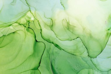 Yeşil alkol mürekkebi soyut arka plan. El boyası mürekkep dokusu. Modern sanat.