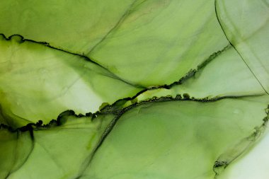 Doğal yeşil yaprak alkol mürekkebi soyut bir arkaplan. Taze ruhani tablo. El boyası mürekkep dokusu. Modern sanat.