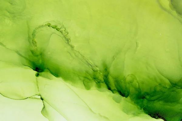 Fresh Green alcohol ink abstract background. Colorful ethereal painting. Hand painted ink texture. Modern art.