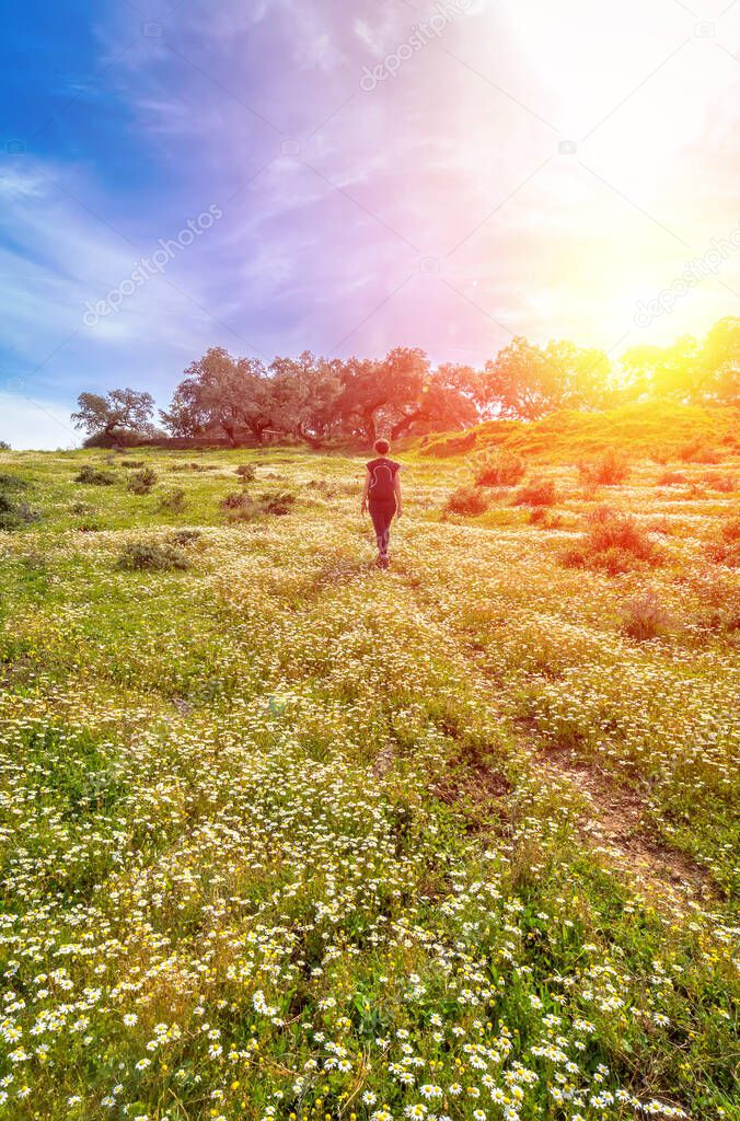 Traveling woman with backpack  walking in flowery field. Blue sky and Sunny spring day, rear view. Freedom concept background.