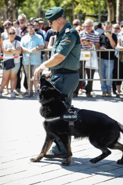 Seville, İspanya - 30 Mayıs 2019: İspanya 'nın Sevilla kentinde İspanyol Silahlı Kuvvetleri Günü sırasında eğitimli bir köpekle sivil koruma.