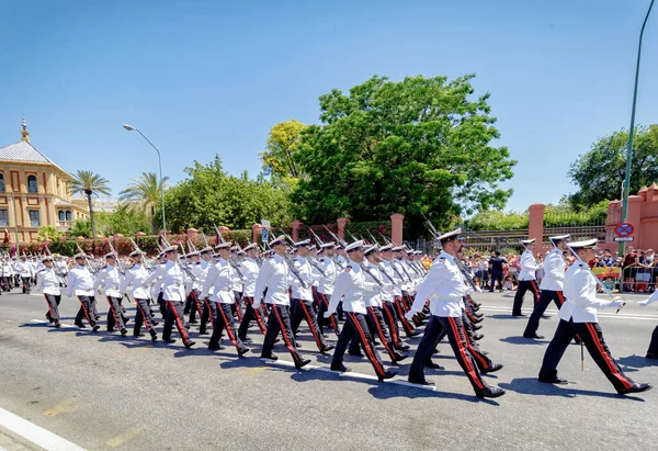 Seville Spain June 2019 Parade Different Corps Spanish Army Display — Stock Photo, Image