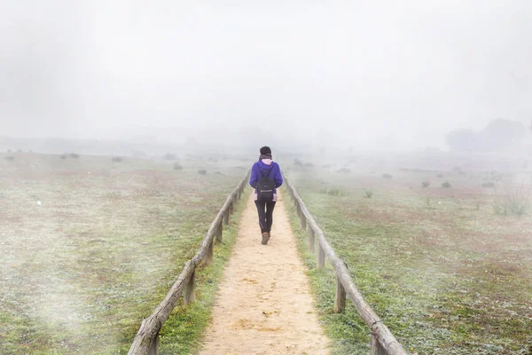 Traveler woman walking alone on a field surrounded by fog. Alone woman from back walking through the fog in forest.