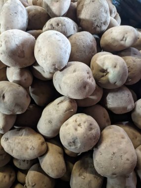 Beyaz arka planda taze ve organik sebzeler