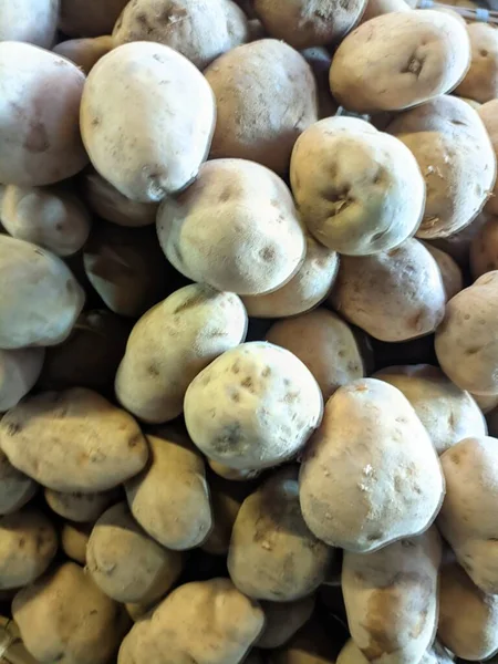 Beyaz bir arka plan üzerinde olgunlaşmış taze patates