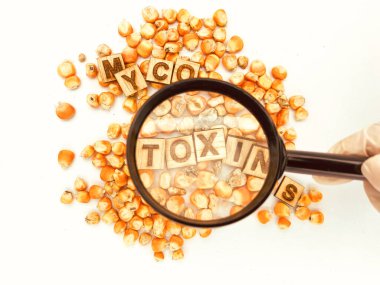 Kümes hayvanları için mısır ve hayvan besleme enerjisi kaynağı. Kümes hayvanları endüstrisi, yumurta ve et üretimi.