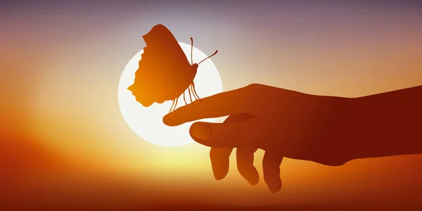 Concept Lightness Fragility Silhouette Butterfly Hand Seen Day Sunset — Stock Vector