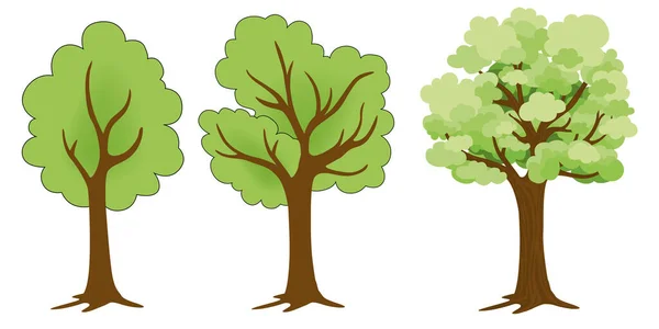 Dibujos Tres Árboles Con Sus Hojas Para Simbolizar Medio Ambiente — Vector de stock