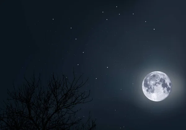 Ciel Clair Lune Avec Grande Ourse Étoile Polaire Comme Point — Image vectorielle