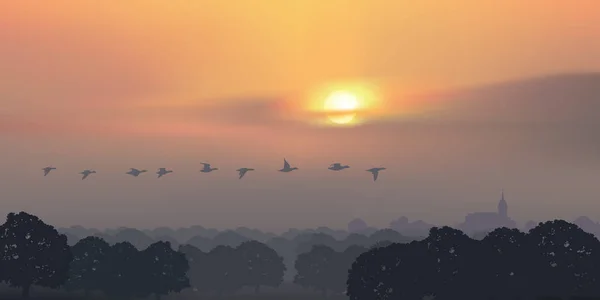 穏やかな静けさの象徴 夜明けの田舎の風景 アヒルの村を飛んで — ストックベクタ