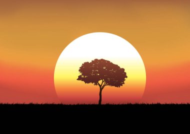 Yaz mevsiminde, güneş güneşin ışığına karşı bir ağacın tek arka planıyla kırsal bir arazide batar..