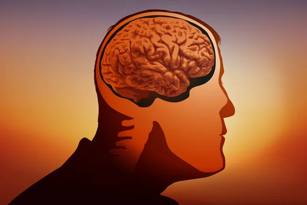 Concept Study Brain Faculties Mental Illnesses Diagram Mans Head Profile — Vetor de Stock