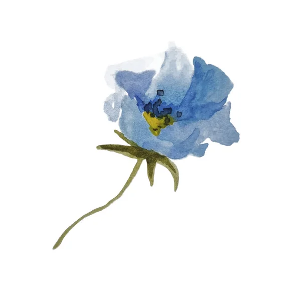 Flor Vectorial Acuarela Dibujada Mano Azul Utilizar Para Hacer Patrón — Vector de stock