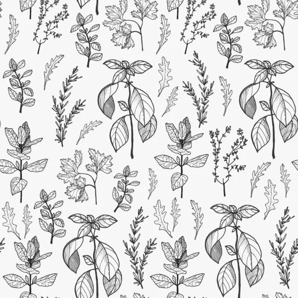 Outline hand drawn graphic seamless pattern with culinary herbs