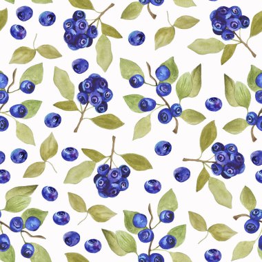 Suluboya desensiz el çizimi orman yaban mersinleri tekstil, paket tasarımı veya diğer dekorlar için