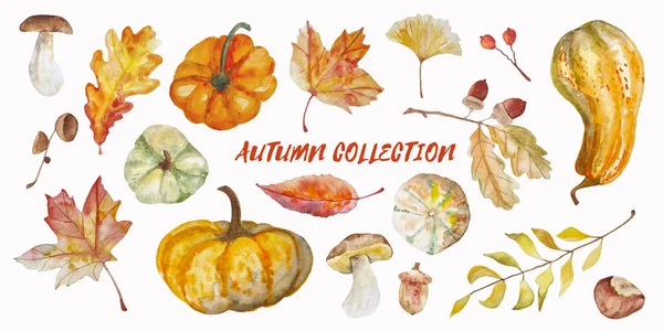 Watercolor Autumn Collection Pumpkins Leaves Mushrooms Elements Isolated White — Stockfoto