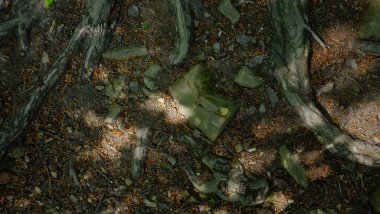 Dağlarda kayalık zemin, kayalık toprak