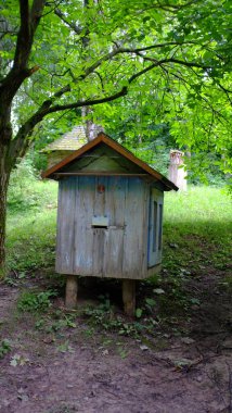 Eski ahşap arı kovanı, arıcılık, ormanda kovan.