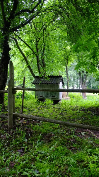 Eski ahşap arı kovanı, arıcılık, ormanda kovan.
