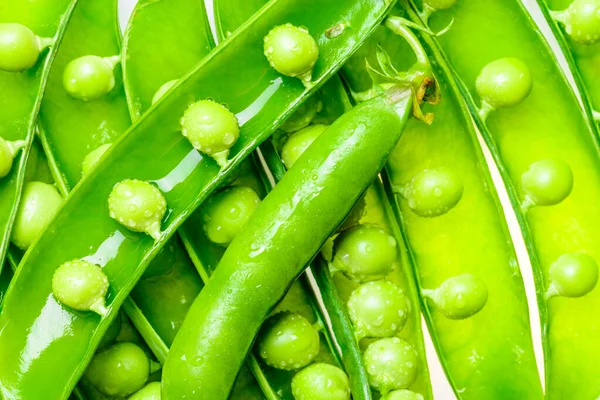 Spring green pea pods background.
