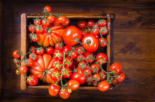 Red fresh tomatoes on wooden background copy space.