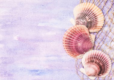 Seashells on watercolor colored paper background copy space summer vacation card.