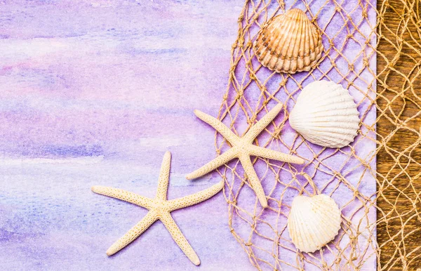 Seashells background copy space summer vacation card.
