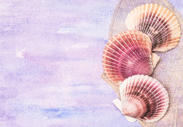 Seashells on colored watercolors background copy space summer vacation card.