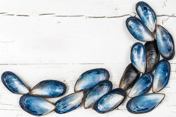 Mussels shell on white wooden background copy space.