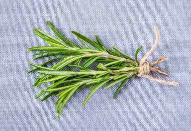 Taze biberiye aromalı bitki demeti üst görünüm kopya alanı arkaplanı.