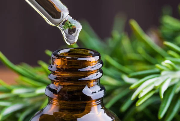 Rosemary essential oil bottle and dropper. Essential beauty oil, aromatherapy, natural remedies.