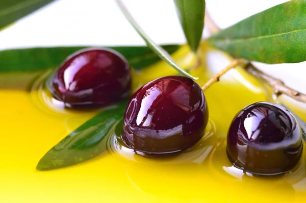 Olive oil and olives background copy space.