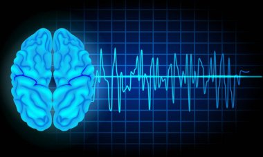 digital illustration of human brain with heart shape