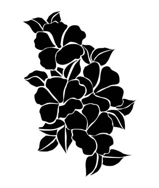 Siyah ve beyaz bitkisel desenler. vektör illüstrasyonu