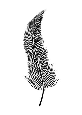 Beyaz arkaplanda siyah tüy simgesi