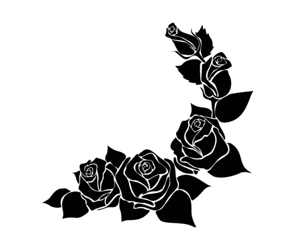 Schwarze Und Weiße Rosen Mit Einer Rose — Stockfoto