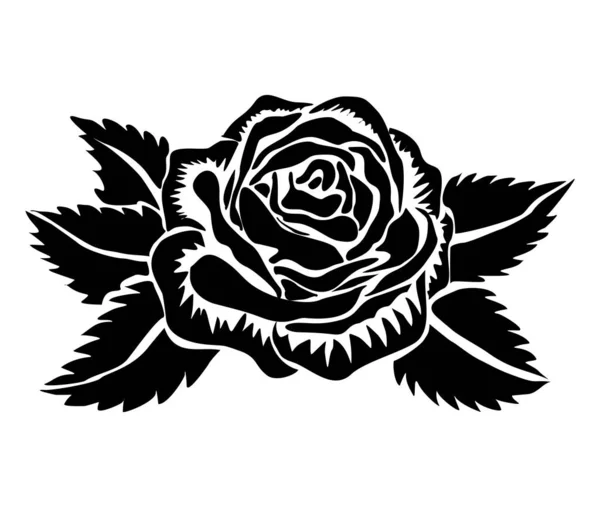 Schwarz Weiße Rosenblüte Isoliert Auf Einem Hintergrund Vektorillustration — Stockfoto