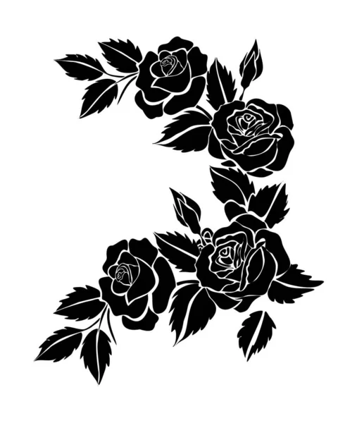 Vector Illustration Floral Roses — Zdjęcie stockowe