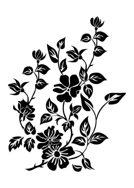 Ilustração Vetorial Fundo Floral Botânico — Fotografia de Stock
