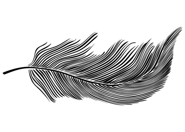 Black Feather Icon Isolated White Background Vector Illustration — Stock Photo, Image