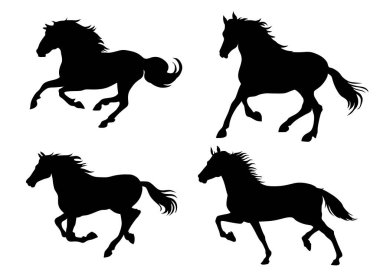 Beyaz arkaplanda izole edilmiş at silueti