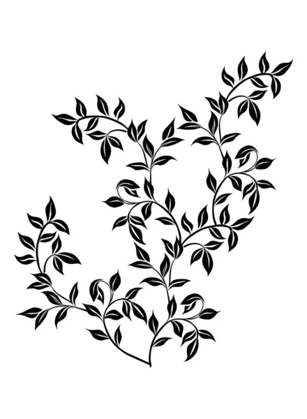 Векторна Ілюстрація Квіткового Ботанічного Фону — стокове фото