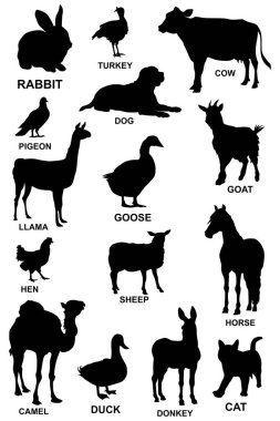 Farklı hayvan türlerinden siyah siluetler.