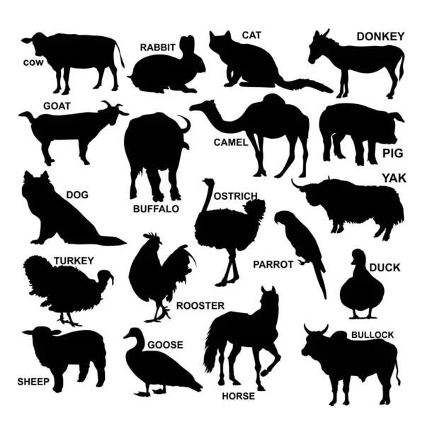 Vector Illustration Farm Animals — Stock Photo, Image