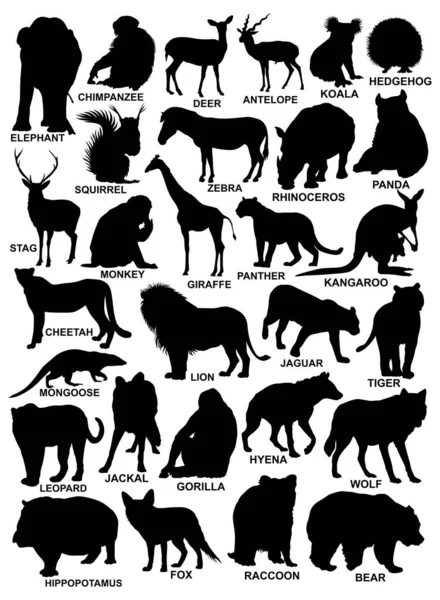 Vector Illustration Animals Silhouettes — Stock Photo, Image