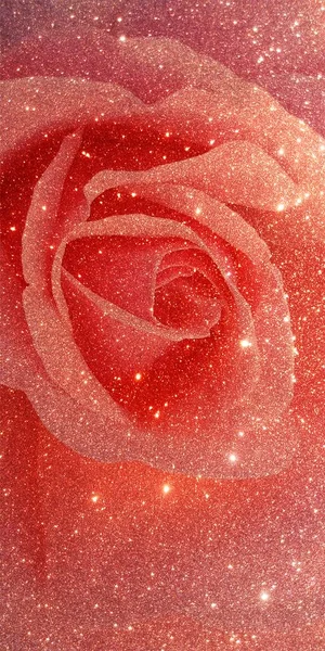 Röd Ros Rosa Bakgrund — Stockfoto